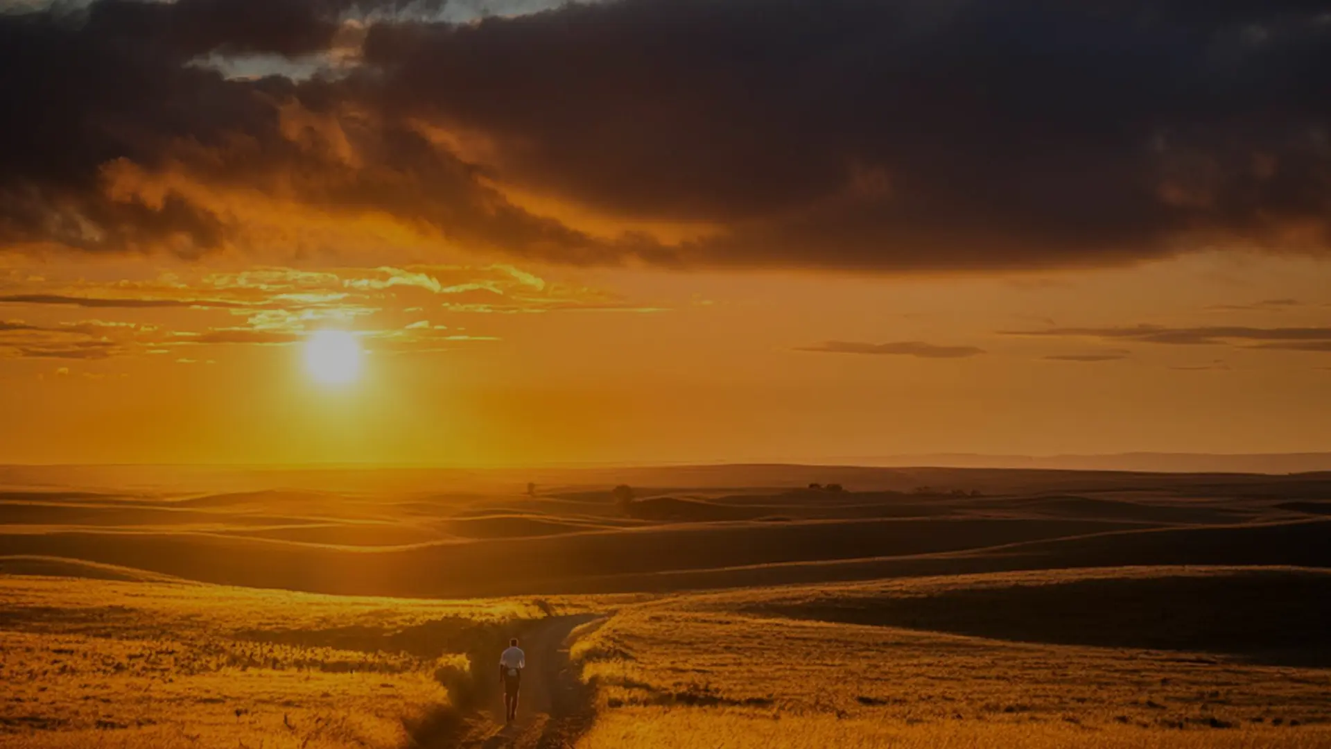 Sunrise over open prairie fields with a track leading toward the horizon