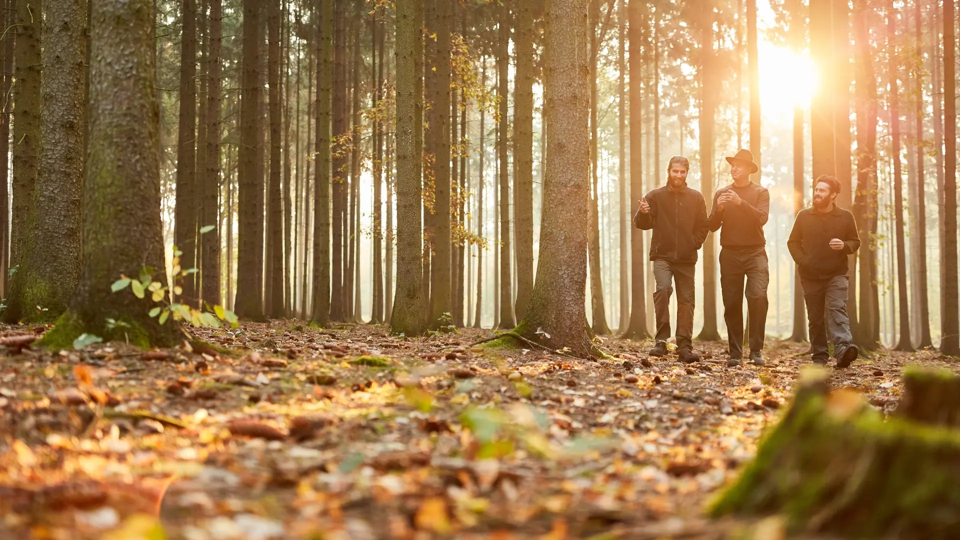 Three men walking together through a sunlit autumn forest