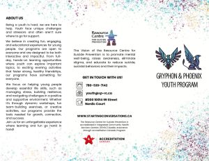 Youth Mental Health Brochure