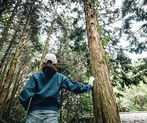 A person in a blue jacket and helmet resting a hand against a tall tree in a forest