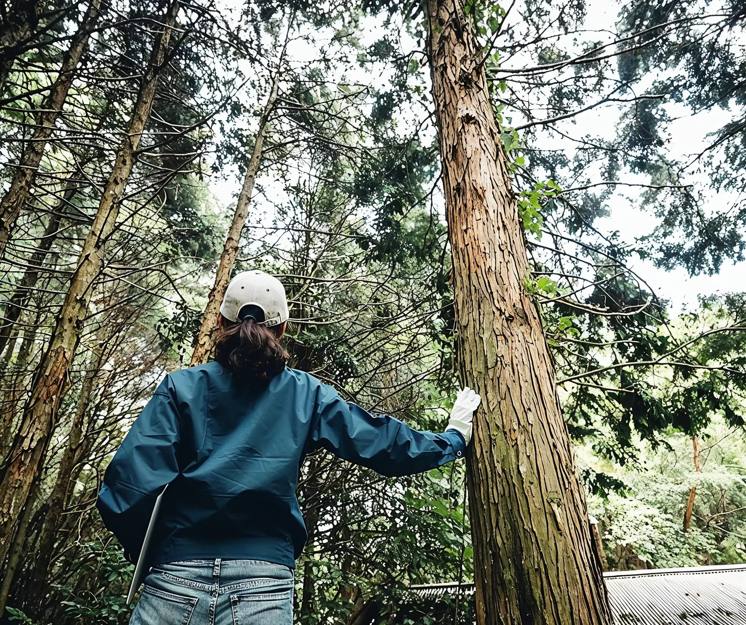 A person in a blue jacket and helmet resting a hand against a tall tree in a forest